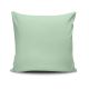 Coussin Deorsum 43x43cm Tissu Vert clair et Blanc