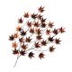 Décoration murale feuilles d'érable Suim L85xH115cm Métal Bordeaux