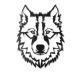 Décoration murale Filum L38xH50cm Portrait de loup Métal Noir