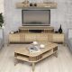 Ensemble meuble TV, table basse et étagère Chanez Marron et Chêne
