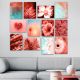 Lot de 12 tableaux abstrait Aranea L20xH15cm Motif Feuille et fleurs Bleu et Rouge