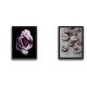 Lot de 2 tableaux encadrés en Noir L30xH40cm Motif Rose et macarons Gris et Violet