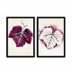Lot de 2 tableaux Pictor encadrés en Noir L72xH50cm Motif Feuille Blanc et Violet