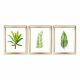 Lot de 3 tableaux encadrés en Or Pictor L76.5xH28,5cm Motif Feuilles tropicales Vert