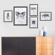 Lot de 5 tableaux encadrés Noir Aranea Motif Lavis animaux Noir et Blanc