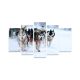 Pentaptyque Atos L110xH60cm Motif Chiens de traineau Multicolore