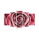 Pentaptyque Atos Motif Rose Rouge