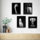 Set de 4 peintures décoratives Harmonicus 30 x 40 cm animaux Panneau Stratifié Noir aux nuances Grise