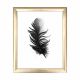 Tableau décoratif cadre Or Cuenca L23,5xH28,5cm Plume Noir et Blanc