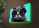 Tableau décoratif lumineux LED Lucendi L70xH45cm Motif Portrait chat