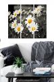 Triptyque Fabulosus L70xH50cm Motif Floraison marguerites Gris , Blanc et Jaune