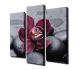 Triptyque Scaenicos L20xH45cm Motif Orchidée et galets Rose et Anthracite